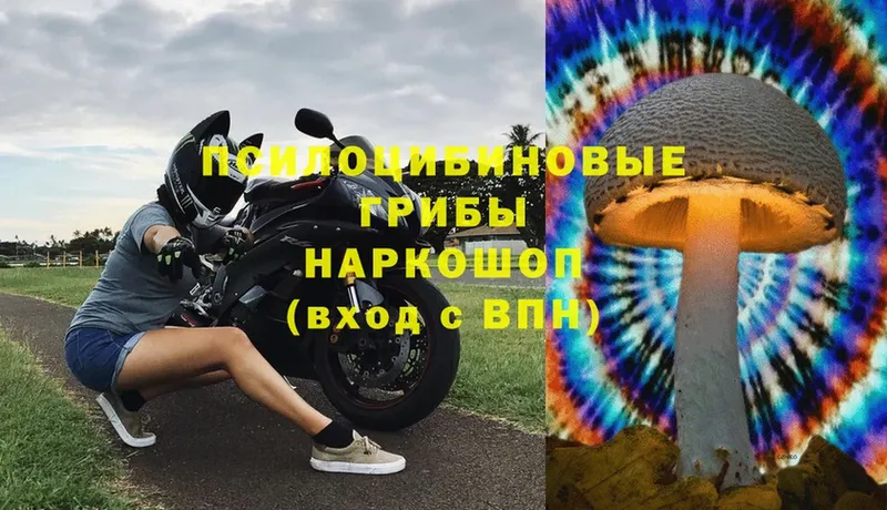 Псилоцибиновые грибы MAGIC MUSHROOMS  Североморск 